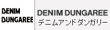 �ǥ˥ॢ��ɥ��󥬥꡼
